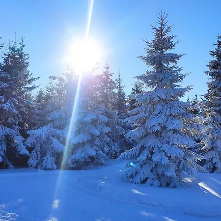 Gloria Nad Jeziorem Zywieckim *