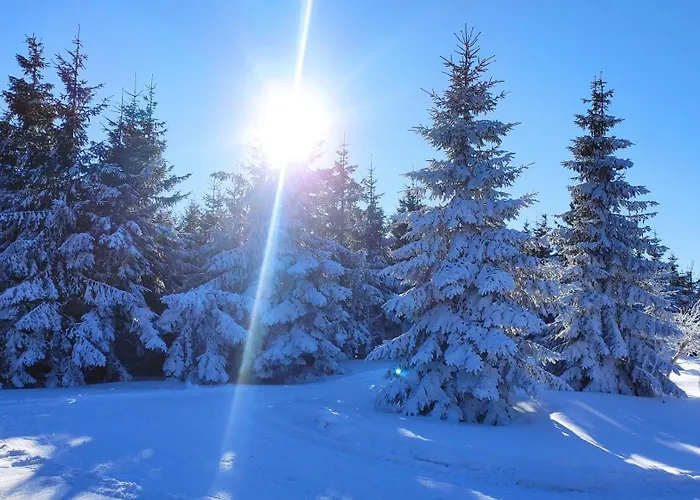 Gloria Nad Jeziorem Zywieckim *